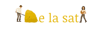 De la Sat – logo