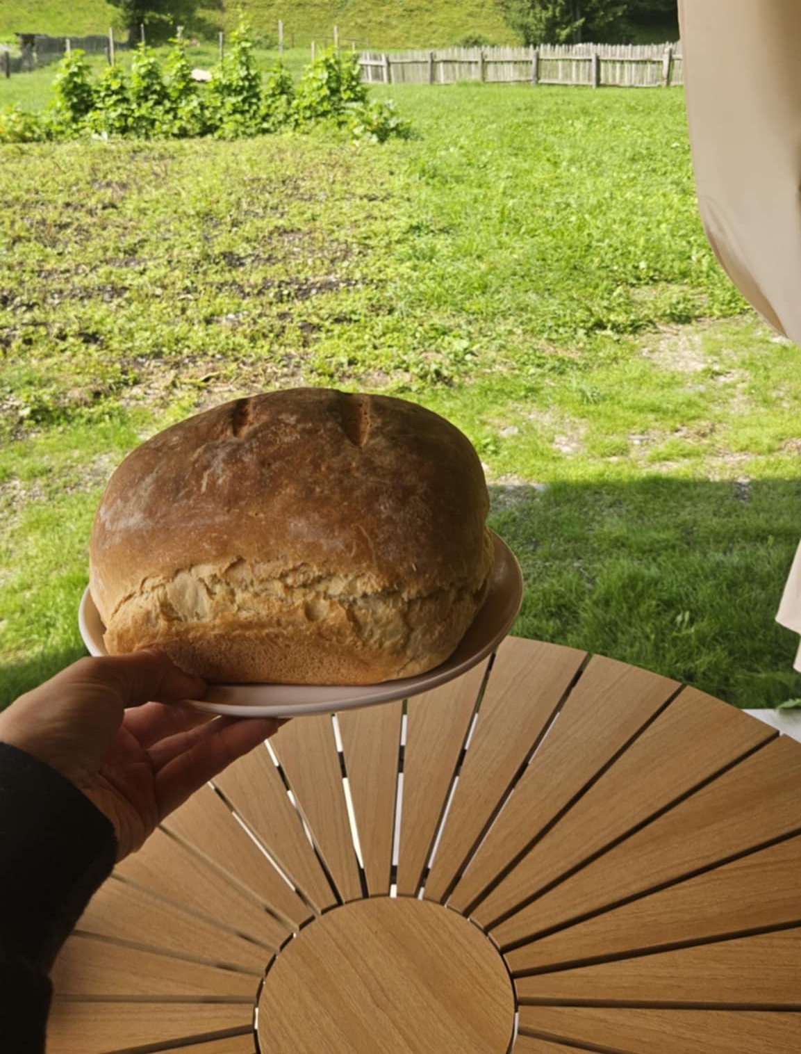 Pâine de casă scoasă din cuptor, Talger