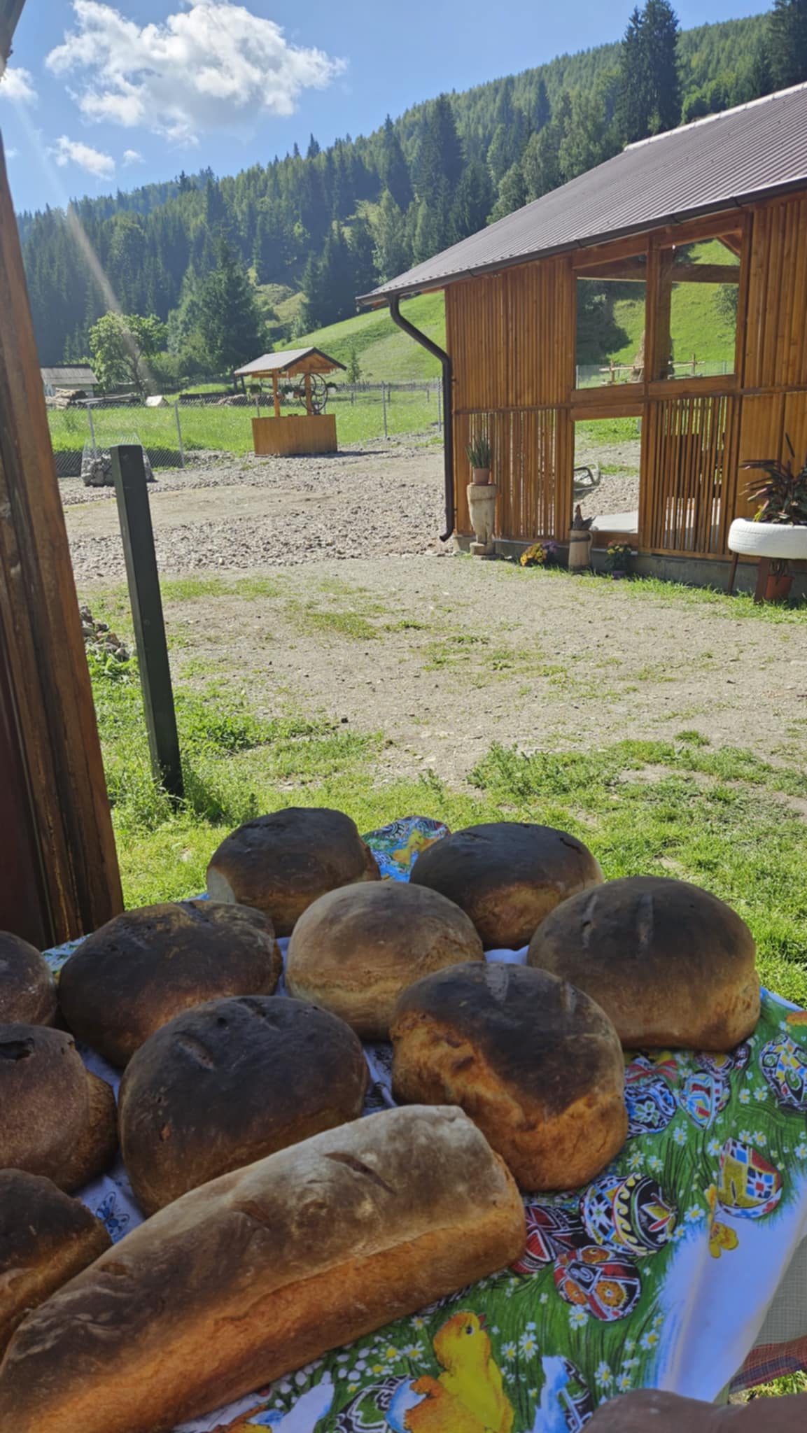 Pâine de casă la cuptor – Talger Pojorâta, mâncare tradițională Bucovina